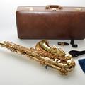 Альбом - YANAGISAWA Alto Sax A900 mob_050-938-79-63
